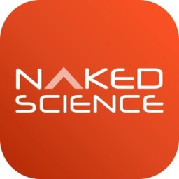 «Naked Science – все новости» — Telegram-канал в категории «Образование и наука». Материалы о науке, обучении и полезных знаниях для тех, кто любит учиться и расширять кругозор. Описание и прямая ссылка на Tgramer.